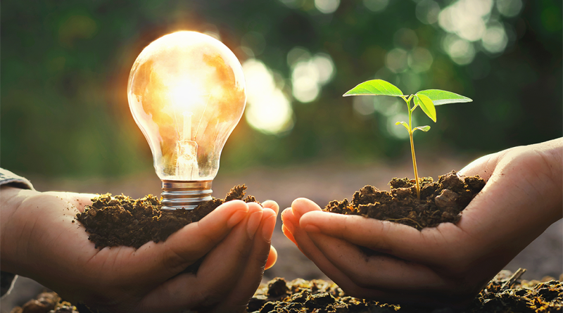 Two hands, one holding a lightbulb and one holding a plant to support Balfour Beatty sustainable energy article